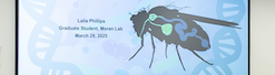 Title slide from symposium talk